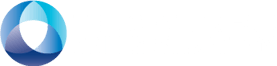 CSS_logo_H_white-1